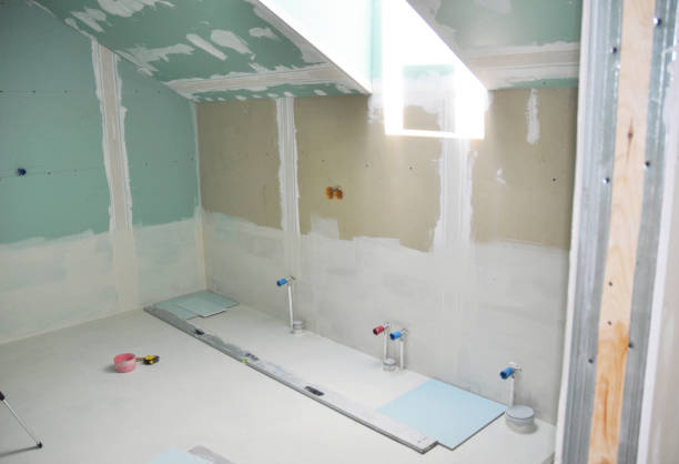 Best Mold Damage Restoration  in Sierra Ridge, CO