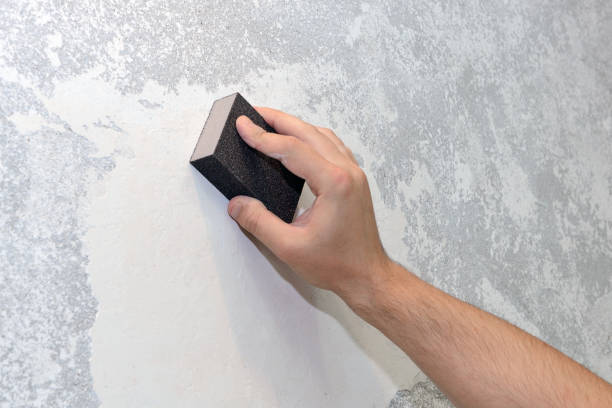 Best Mold Prevention Services  in Sierra Ridge, CO