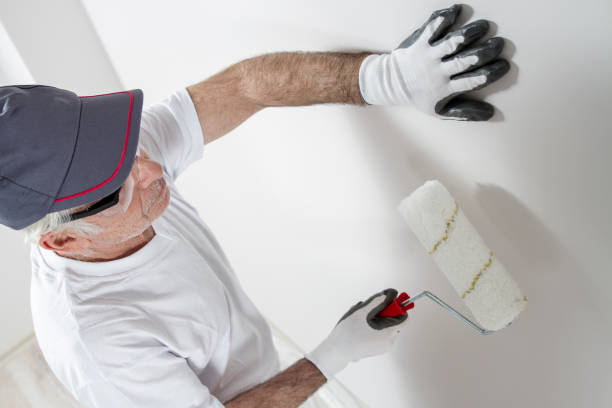 Biohazard Mold Removal in Sierra Ridge, CO