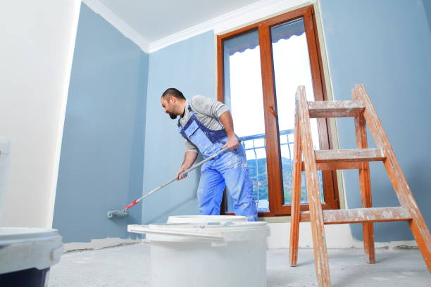 Best Emergency Mold Remediation  in Sierra Ridge, CO