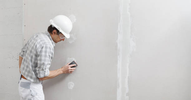 Best Air Quality Testing for Mold Spores  in Sierra Ridge, CO