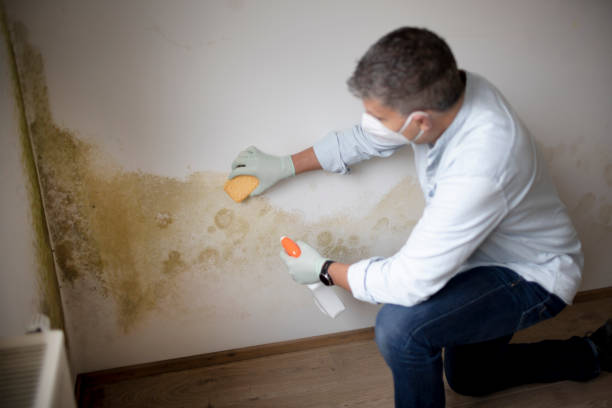 Best Forensic Mold Investigation  in Sierra Ridge, CO