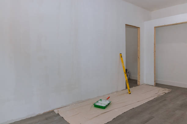 Best Attic Mold Removal  in Sierra Ridge, CO