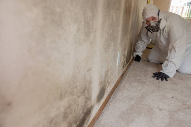Best Biohazard Mold Removal  in Sierra Ridge, CO
