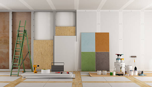 Professional Mold Removal in Sierra Ridge, CO
